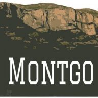 Logo de Montgo Storage